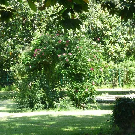 élégante Maison De Maître Avec Piscine Et Parc à Villa *