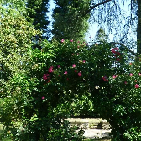 élégante Maison De Maître Avec Piscine Et Parc à * Biarritz
